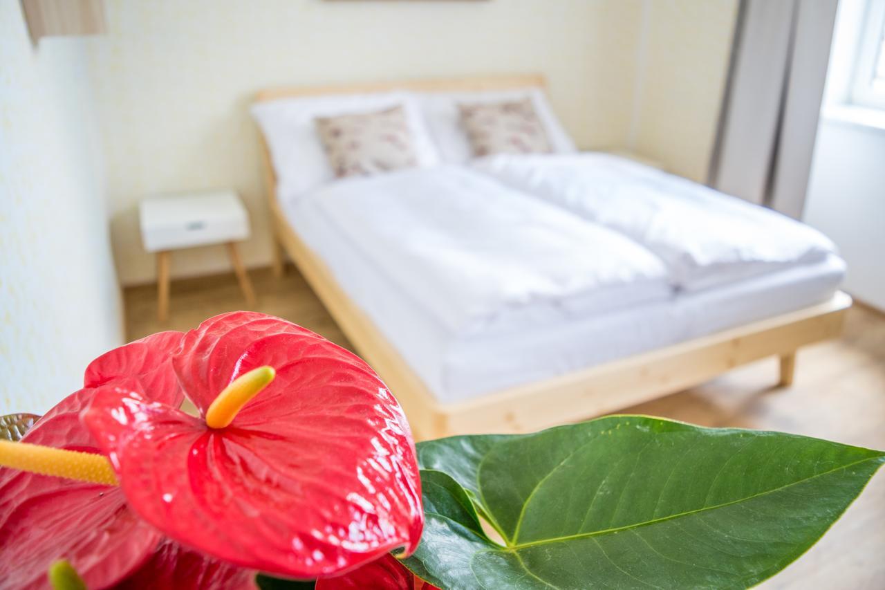 U Cmelaku Hotel Červená Voda Eksteriør billede